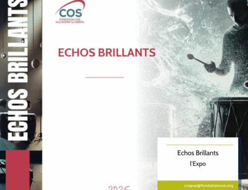 Échos Brillants – retour sur un projet ambitieux